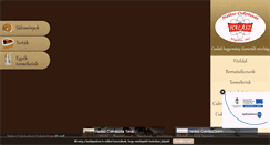Desktop Screenshot of halaszprodukt.hu
